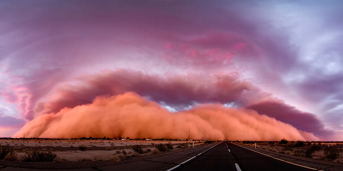 On 9 July 2018 a line of severe thunderstorms moved from east to west through the state of Arizona, USA, producing one of the largest haboobs (dust storms) on record. It measured almost 11⁄2 km (1 mile) high and travelled nearly 320 km (199 miles), crossing the border into California after dark before dying out. This panoramic image was taken near Yuma, Arizona, where the leading edge of the dust storm formed a wall that stretched almost from horizon to horizon as it approached at sunset. The last rays of the evening sun give the haboob its beautiful pink hue. The close association of haboobs with thunderstorms is self-evident in this example, given the presence of a spectacular shelf cloud – the dense roll of cloud that forms along the leading edge of a thunderstorm, which can be seen to fill much of the sky above the advancing wall of dust. Photo by Tina Wright