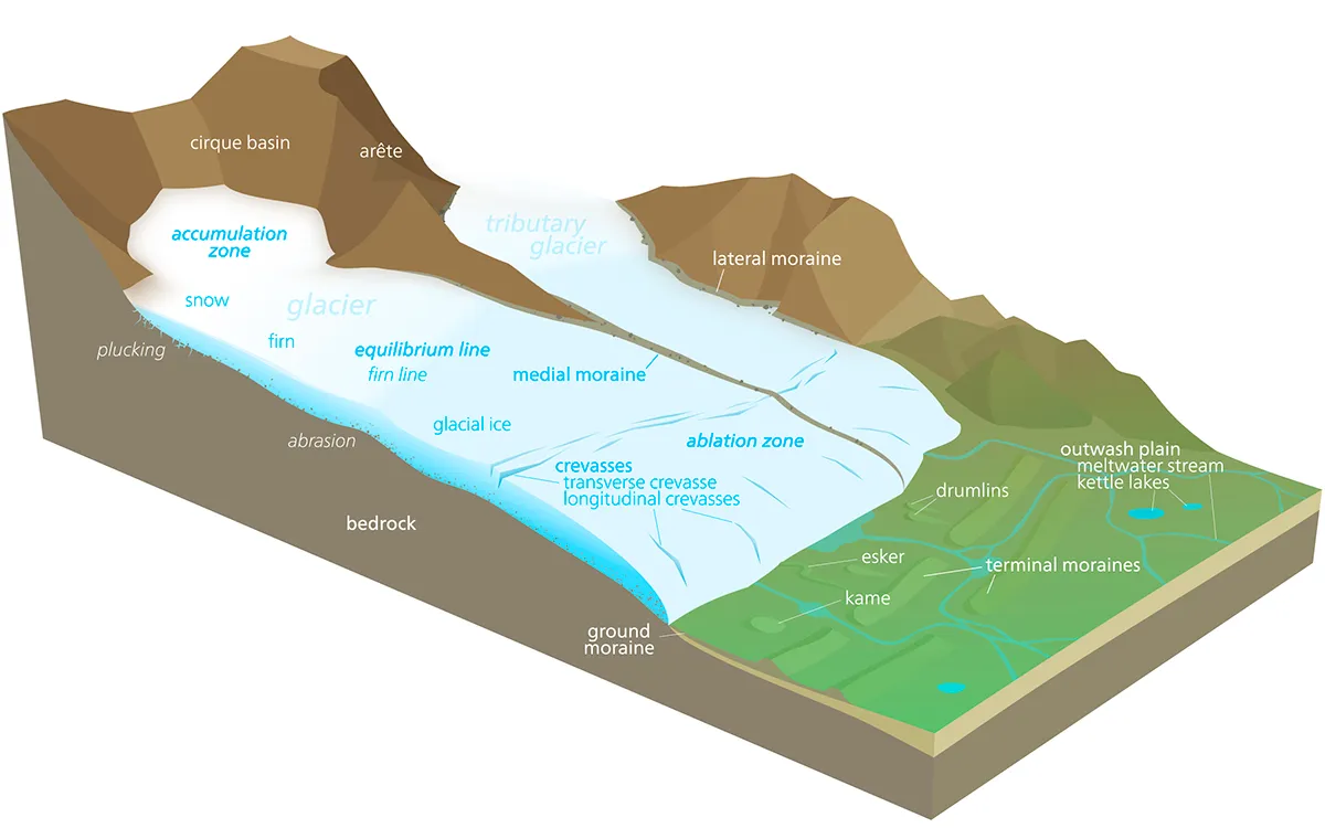 The areas of an Alpine glacier. Illustration by Kelvinsong/Wikipedia