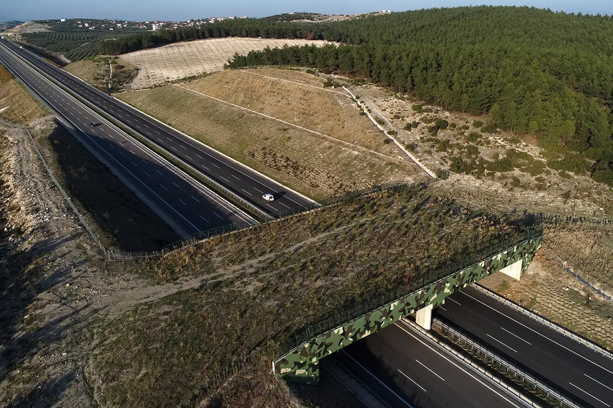 An aerial view of Istanbul-Izmir Highway and an ecological overpass as it was environmentally friendly constructed and reduces commute to 3.5 hours between Istanbul and Izmir, on November 22, 2021, in Bursa, Turkey. The highway links 6 provinces and designed to not to intervene in wild life with two ecological overpasses so that wild animals could continue their lives without being interrupted. The project also ensures the continuity of the species. (Photo by Ali Atmaca/Anadolu Agency via Getty Images)