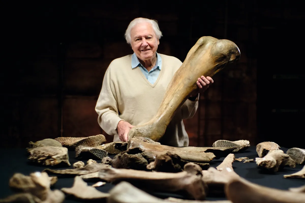 The chance discovery that uncovered a mammoth graveyard in Swindon and inspired the new Attenborough show © BBC/Windfall Films