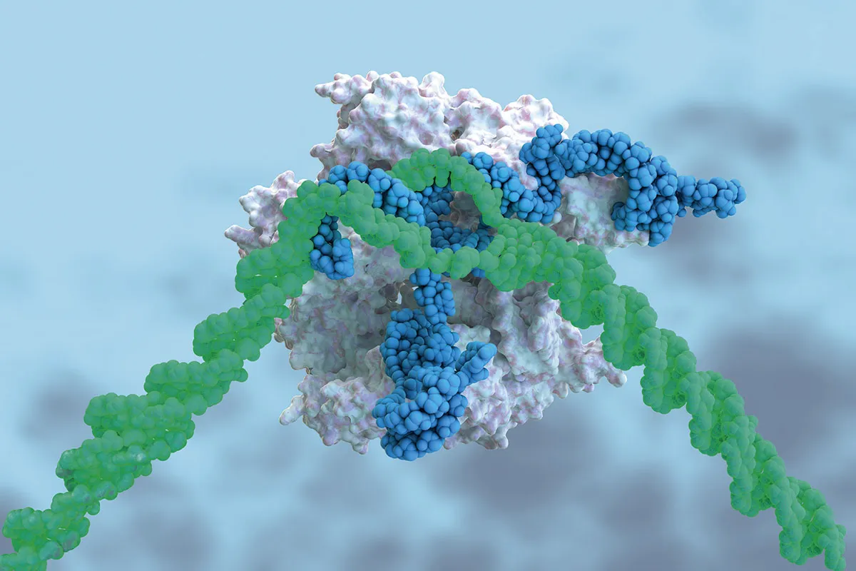 Illustration of CRISPR