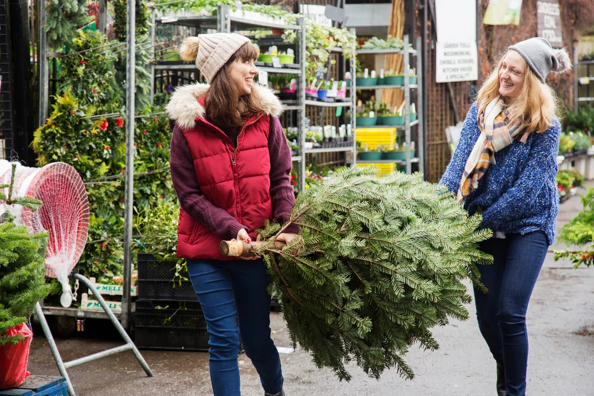 Natural Christmas trees can be replanted outside and used year after year © Getty Images
