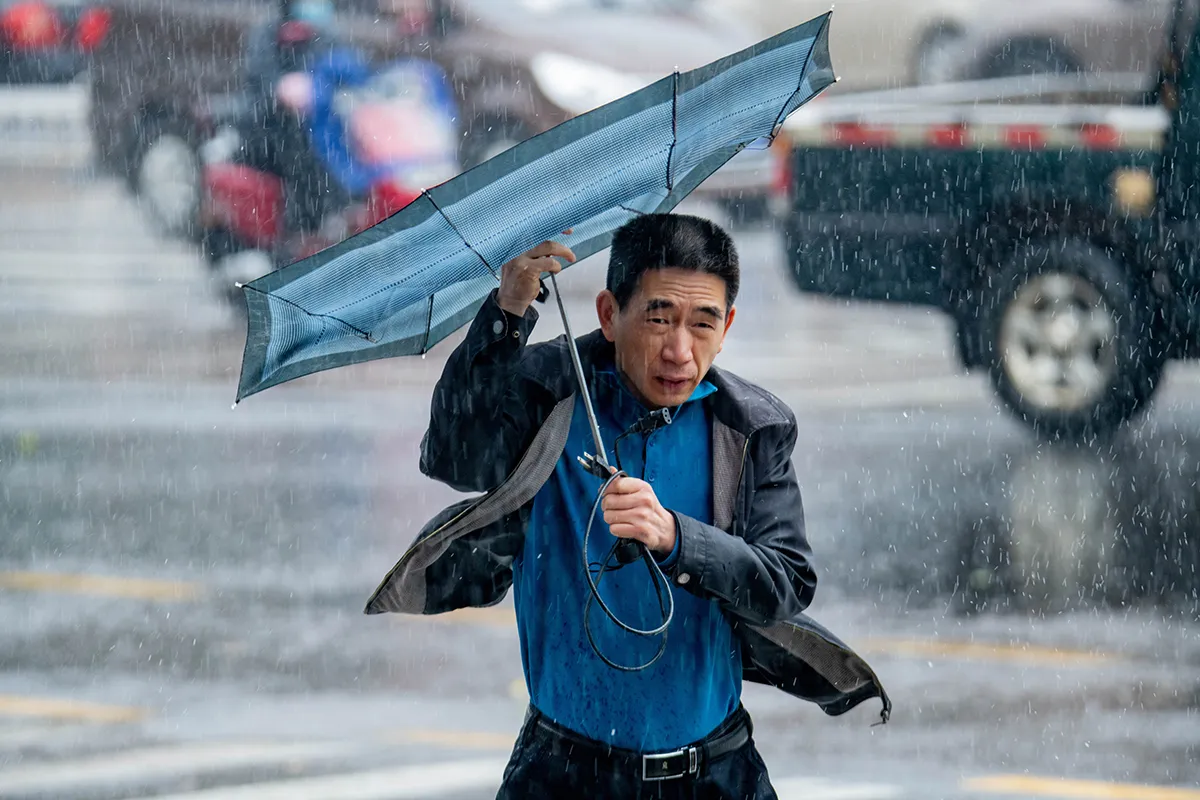 Struggling with an umbrella in a typhoon