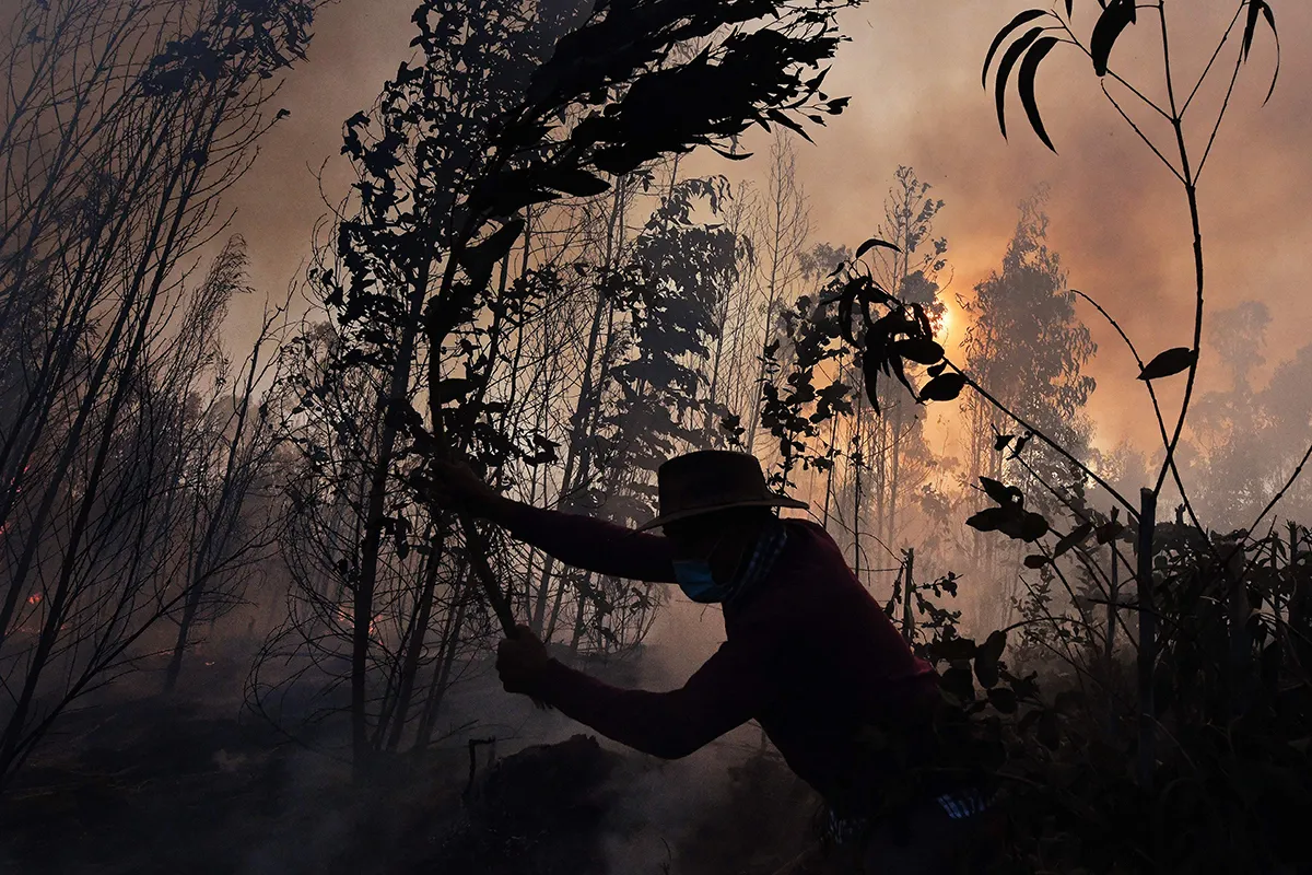 A peasant fights a bushfire in Guatavita, near Bogota, on 22 January 2022. The bushfire has destroyed dozen of hectares of native vegetation and is out of control according to local authorities. Photo by Daniel Munoz/AFP DANIEL MUNOZ/AFP via Getty Images)