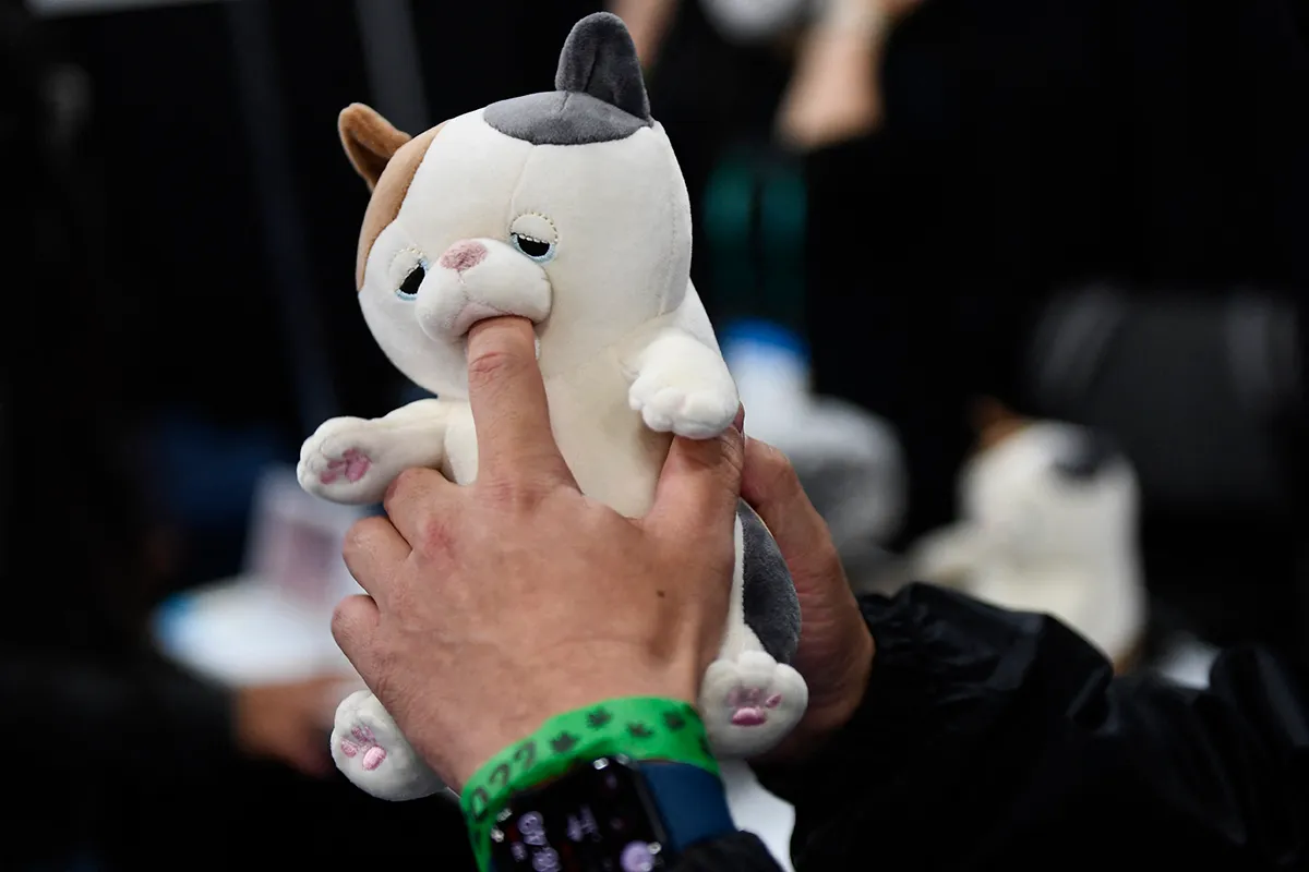 An attendee places a finger inside the mouth of Yukai Engineering Inc. Amagami Ham Ham play-biting cat robot, during CES Unveiled ahead of the Consumer Electronics Show (CES) on January 3, 2022 in Las Vegas, Nevada. - The Consumer Electronics Show (CES), one of the world's largest trade fairs, returns to Las Vegas in person this week under a newly resurgent pandemic that has supercharged the industry but threatens its downsized expo. Masks and proof of vaccination are required at the show that opens Wednesday and was trimmed by one day to end Friday, with expected exhibitors down more than half to roughly 2,200 from the last in-person CES. (Photo by Patrick T. FALLON / AFP) (Photo by PATRICK T. FALLON/AFP via Getty Images)