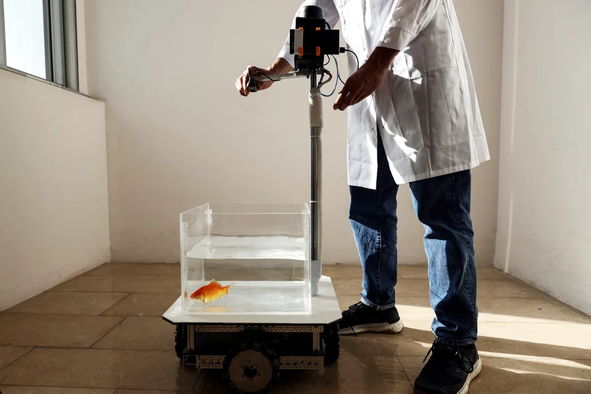 A person wearing a lab coat stands next to the fish in a tank on top of wheels. The person is sprinkling fish food into the tank