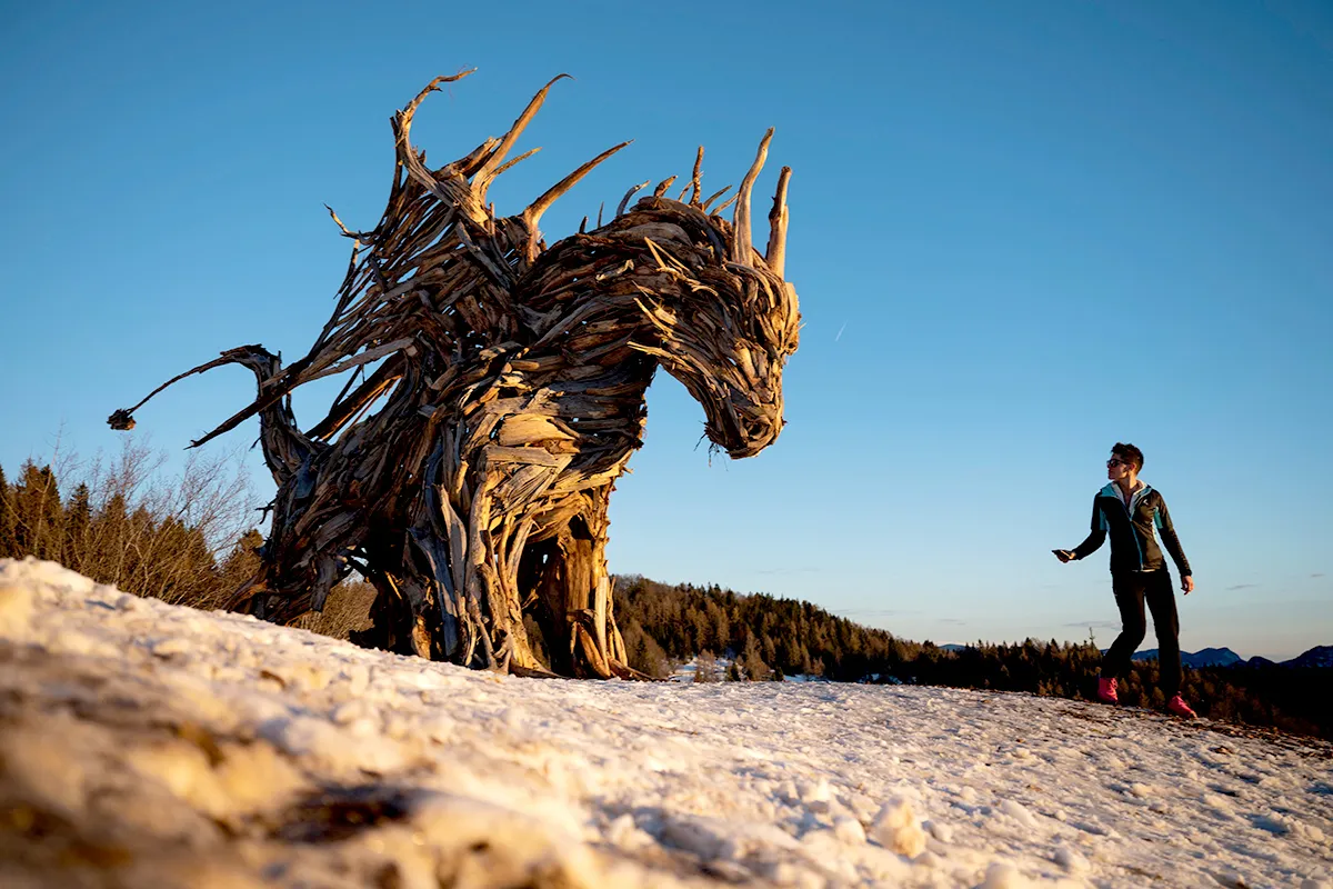 Dragon sculpture made of storm debris by Italian artist Marco Martalar