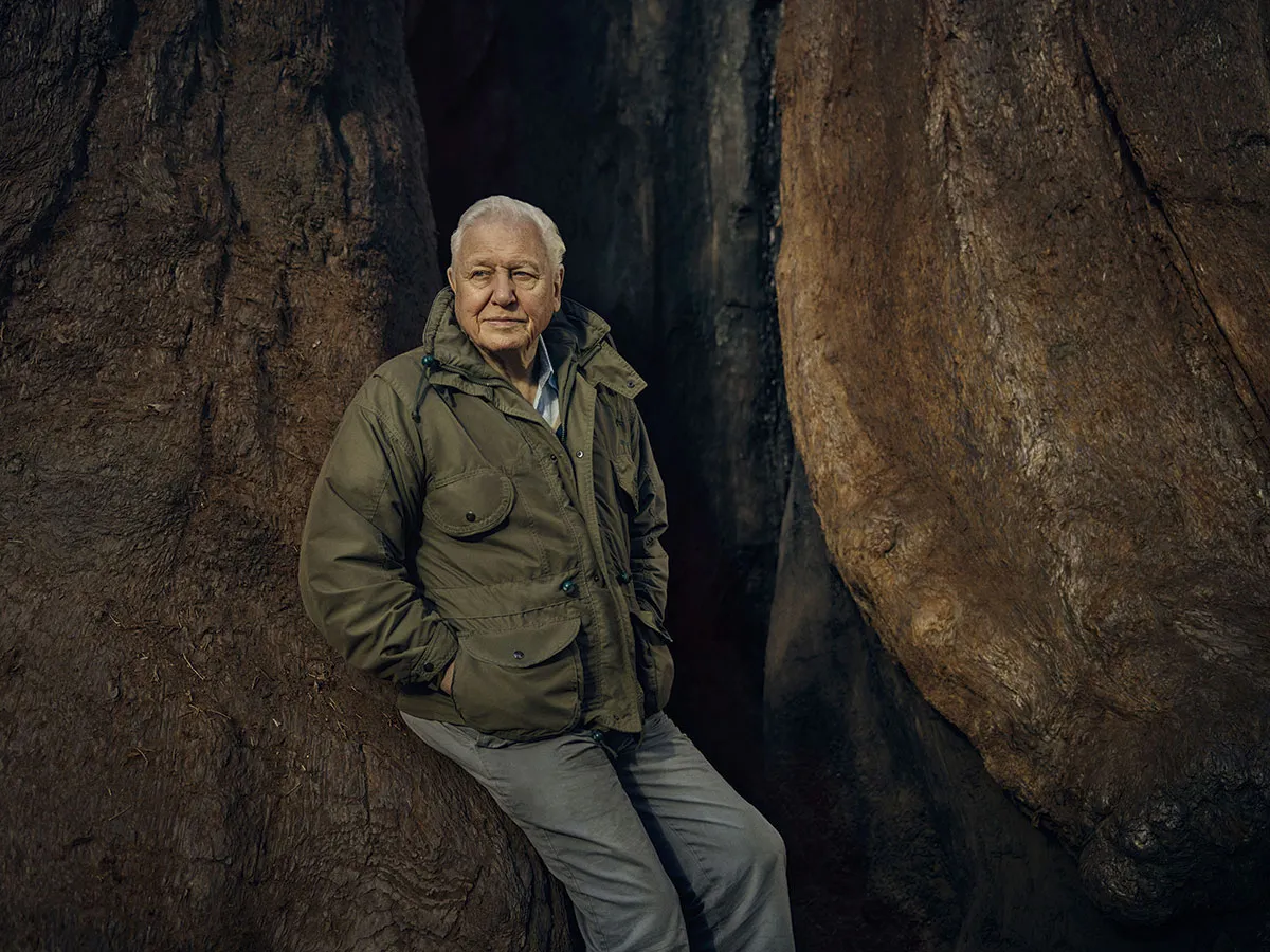 Sir David Attenborough in The Green Planet