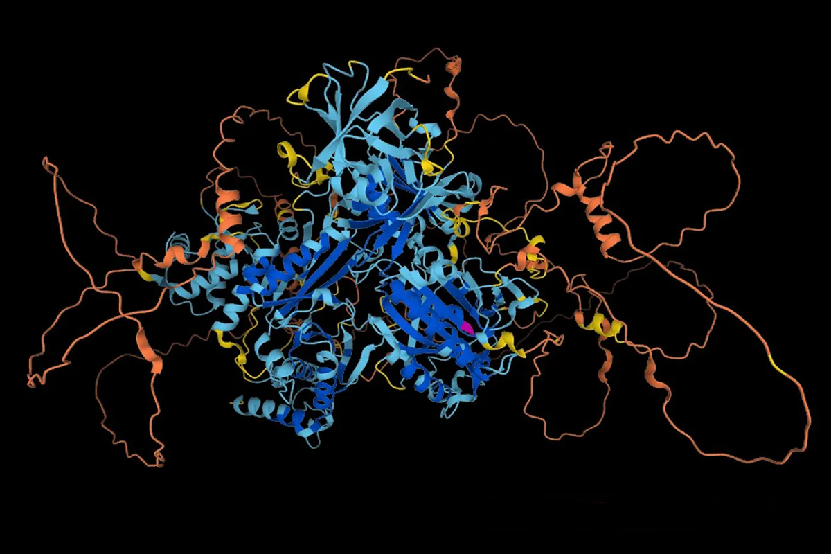 'The Beauty of 3D Protein Structures' was entered by Dr Lara Menzies, Clinical geneticist at GOSH. This image shows the predicted 3D structure of DEPDC5, a protein which is important for brain function. The twist and turning shapes that make up the protein are chains of amino acids. Proteins are fundamental structures within all the cells in our bodies - they play an essential role in how our bodies work and are sometimes described as the building blocks of life. If the shape of these proteins' changes, then it could stop being able to perform its function. Lara's team recently identified a gene alteration which results in a change to the amino acid highlighted in pink in the DEPDC5 protein. This amino acid change has been identified as an underlying cause for a severe form of genetic epilepsy