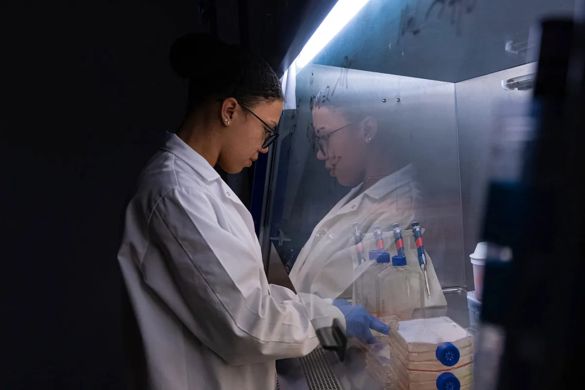 Amanda Nash, a bioengineering graduate student at Rice University, here working on the drug factory implants that will release cytokines into a patient to help fight tumours © Jeff Fitlow/Rice University