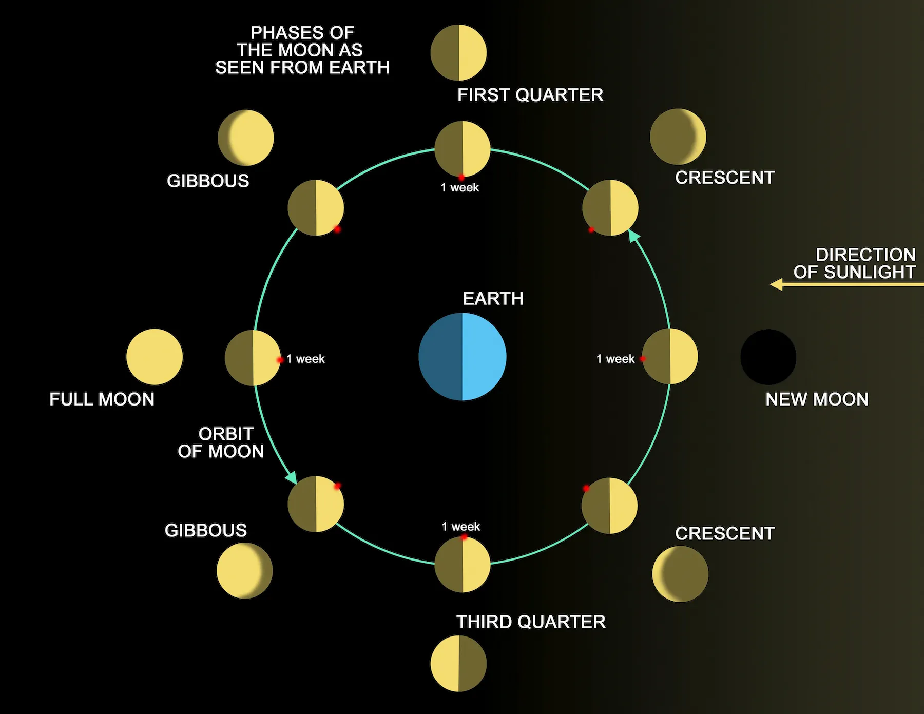 Moon phases. Луна желтая фазы. Новолуние в солнцестояние. Подвеска фазы Луны. Где новолуние
