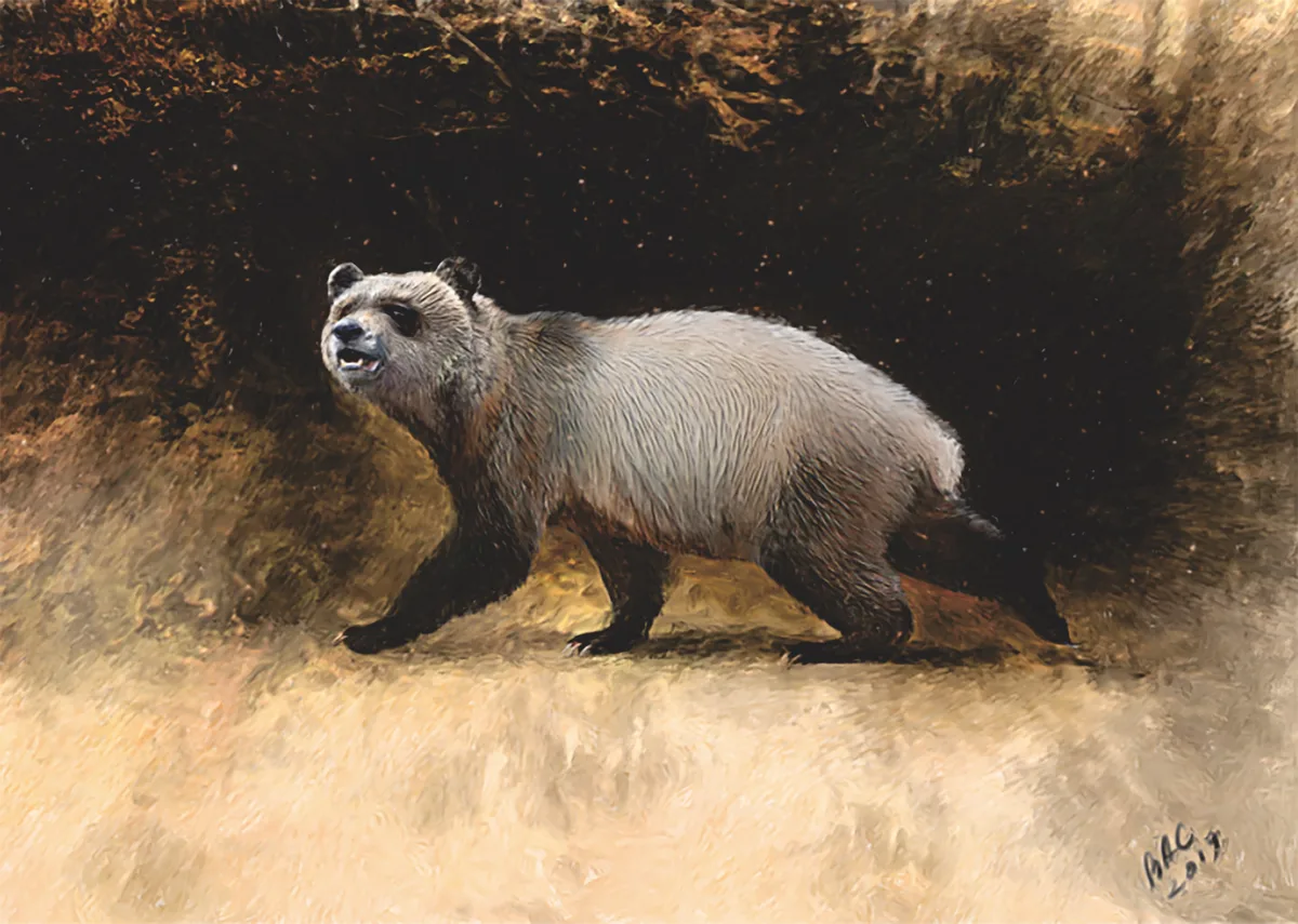 First Panda Giant pandas roamed around Europe six million years ago - BBC Science ...