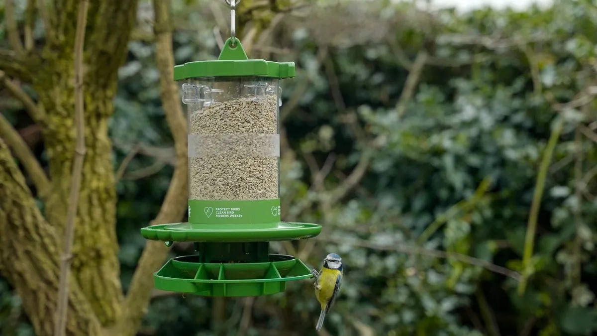 A blue tit perched on the Finches Friend Cleaner Feeder 1