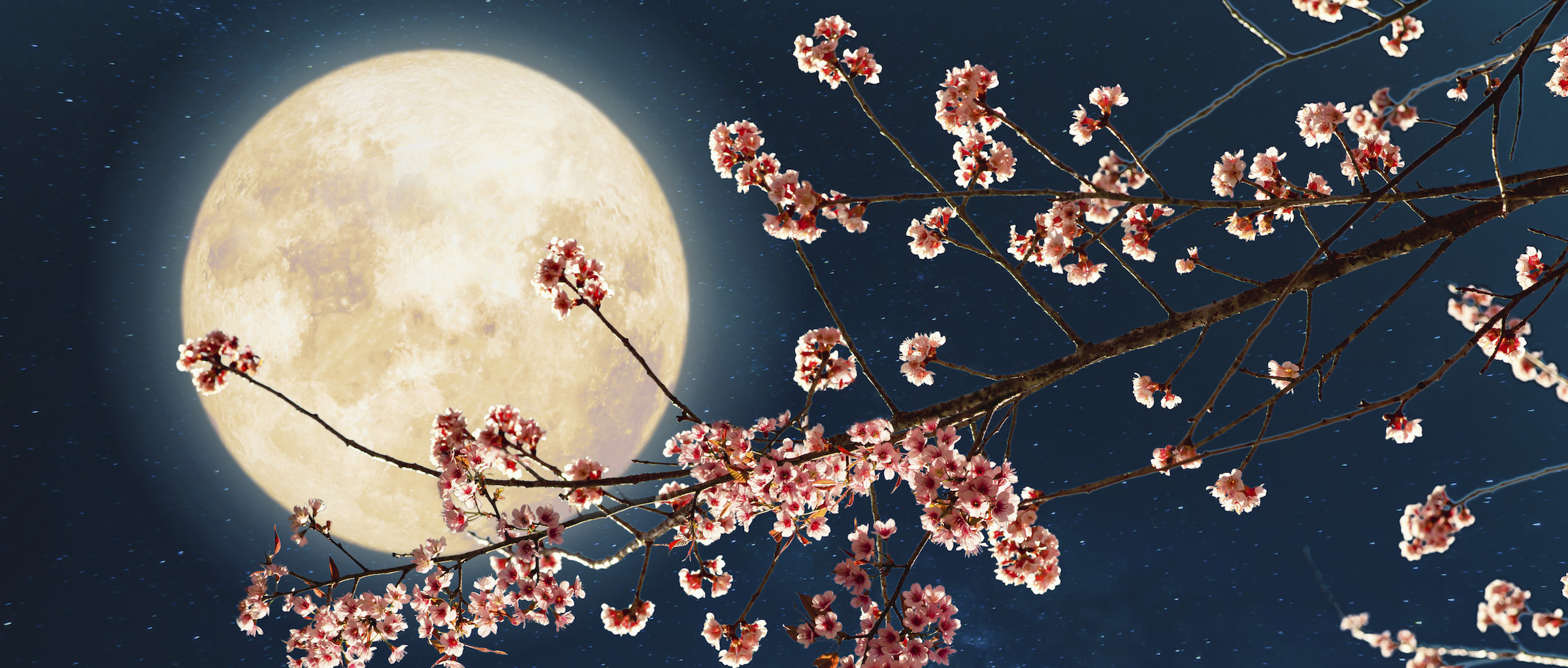 Full Moon April 2023: When can I see the Pink Moon? - BBC Science Focus  Magazine