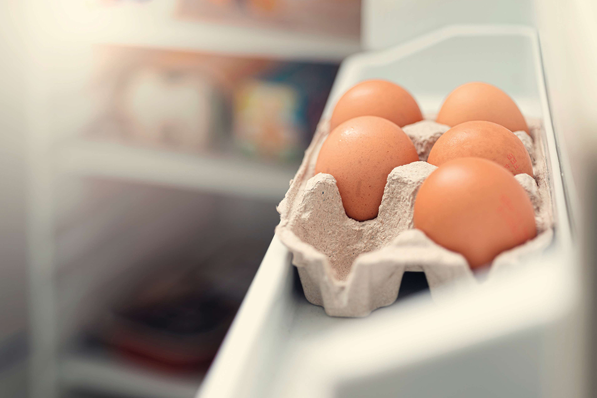 Яйца в холодильнике. Хранение яиц. Бройлерные хранение яиц. Стафилококки на скорлупе яиц.