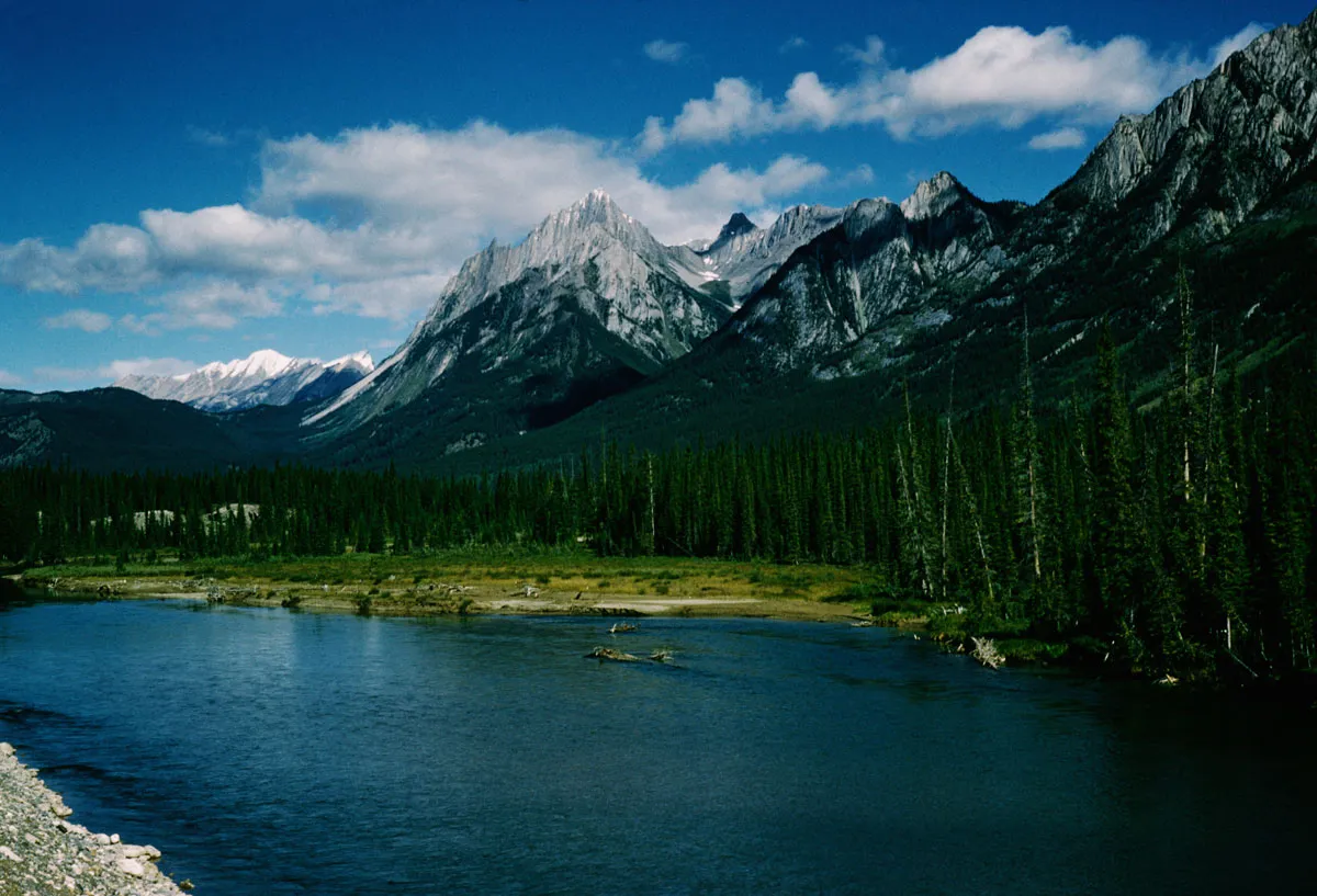 The Sawback Range of the Canadian Rockies