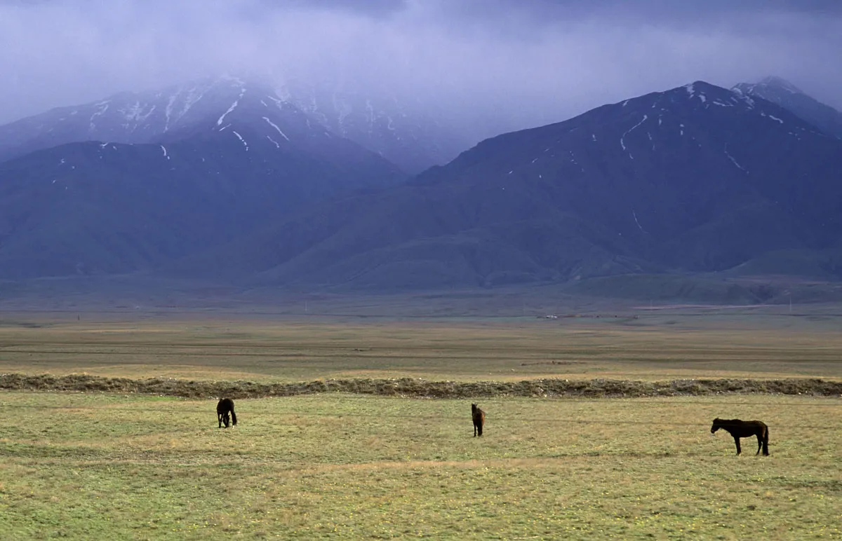 Grassland near Druzhba, Kazakhstan