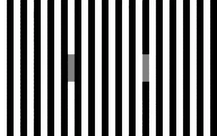 high contrast optical illusion