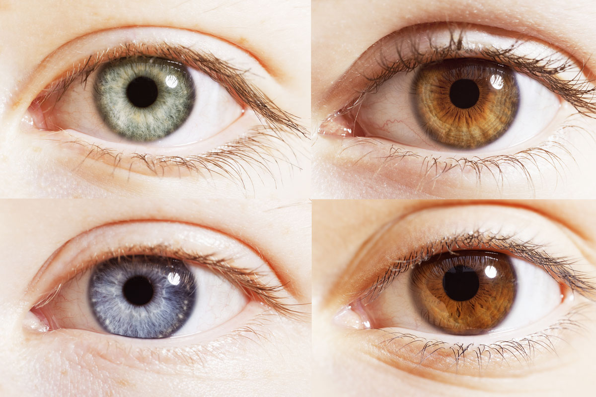 Hazel Eye Color Rare What is the rarest eye colour in the world? - BBC Science Focus Magazine