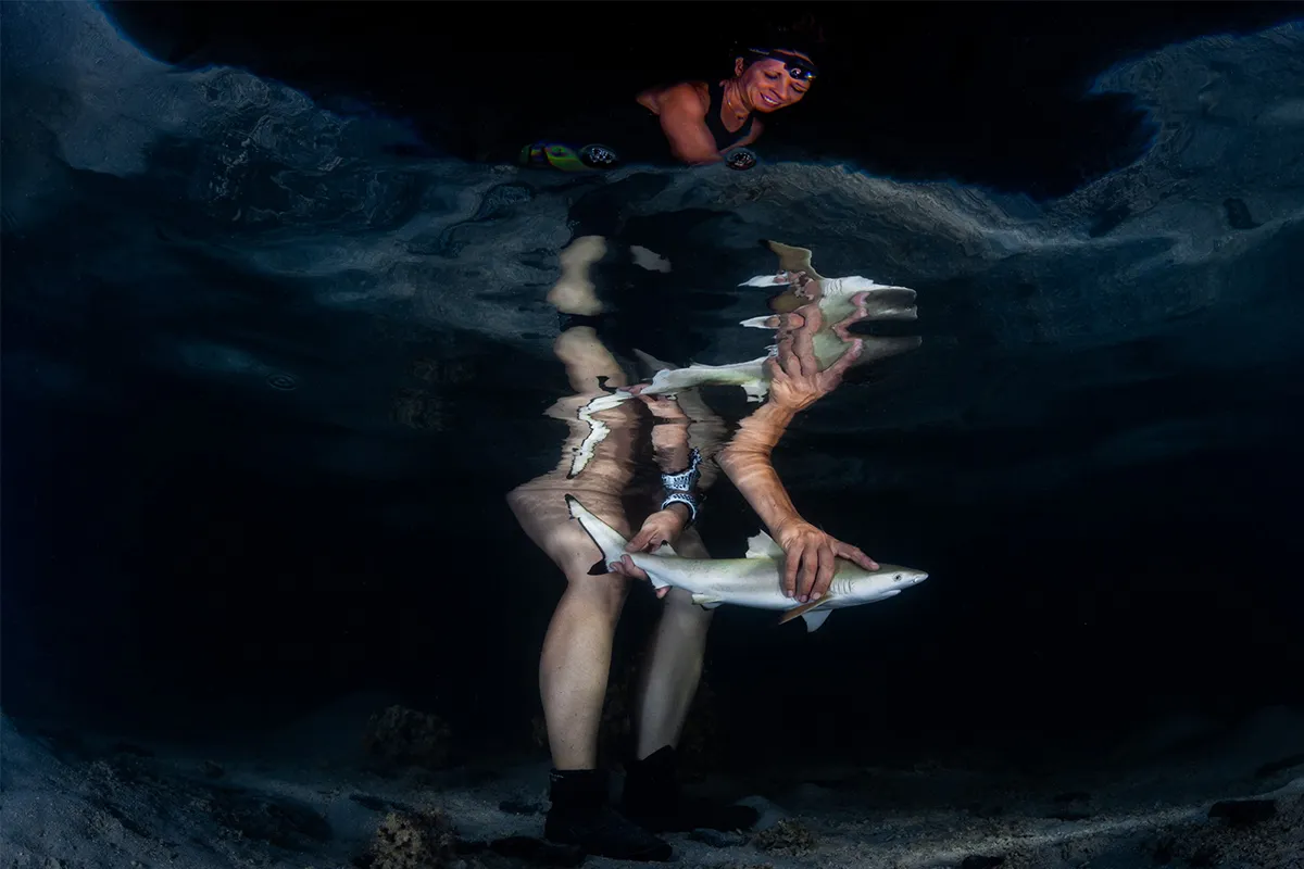 An image of a researcher releasing a new-born blacktip reef shark (Carcharhinus melanopterus) in Mo’orea, French Polynesia