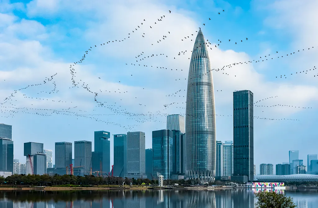 Many birds flying over skyline of high-res buildings