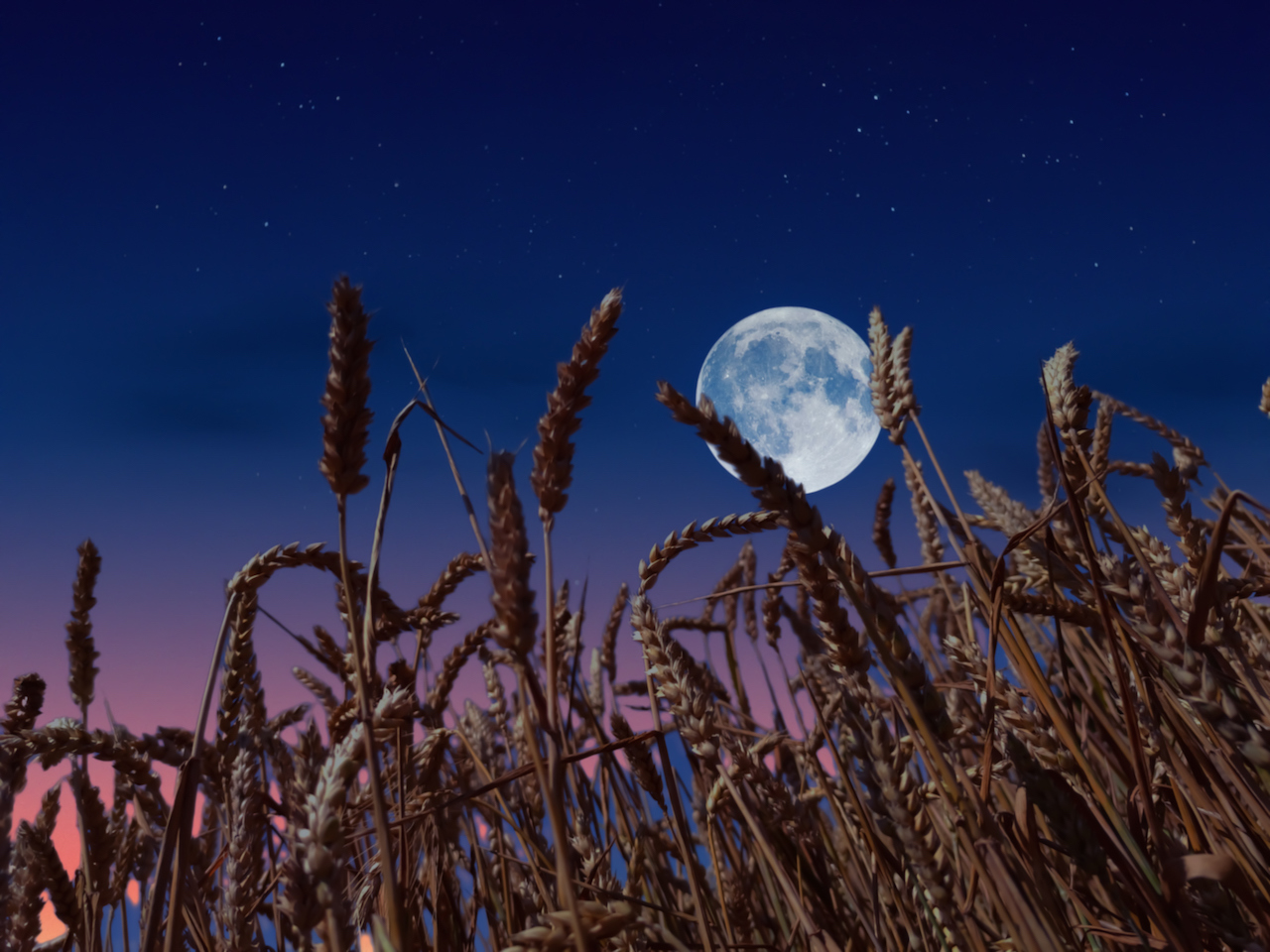 Why is September's full Moon called the Harvest Moon?