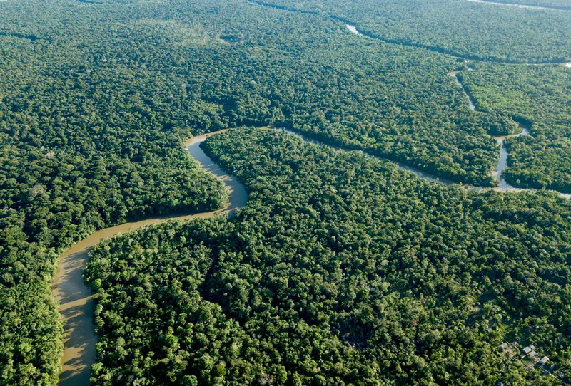The Amazon river, one of the world's longest rivers