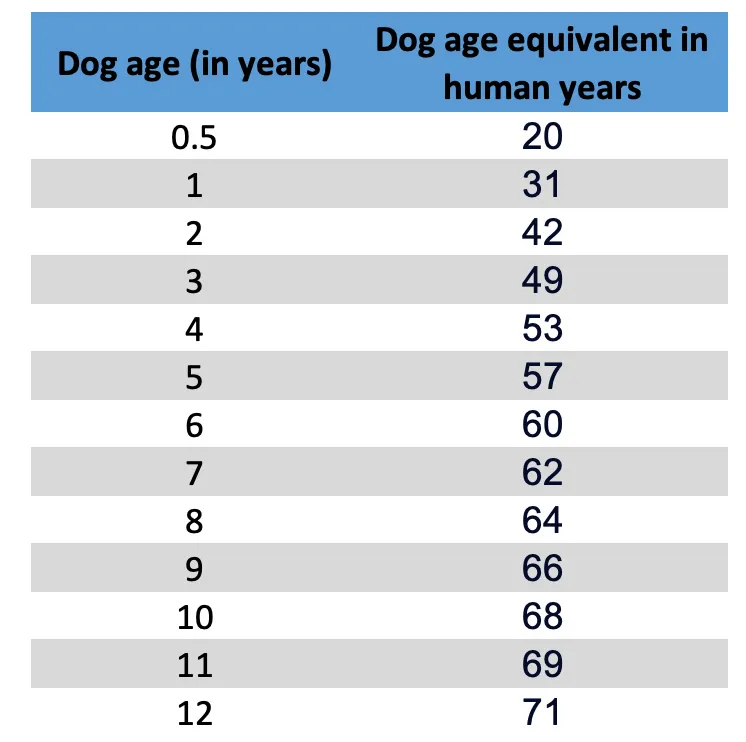 Dog years to human years chart