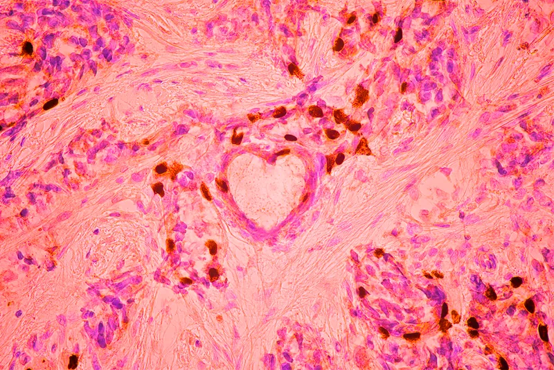 Pink cell shaped like a love heart