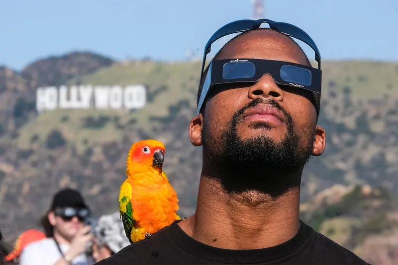 Man with parrot on shoulder looks at eclipse through glasses