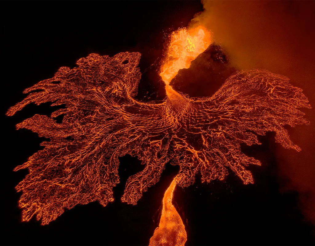 volcanic lava in the shape of a bird