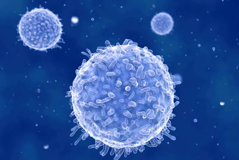 Artwork of three lymphocytes against a blue background.