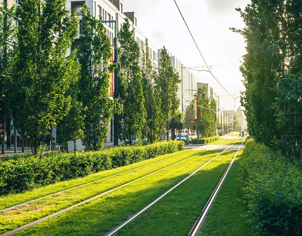 a train line covered in grass lined by trees