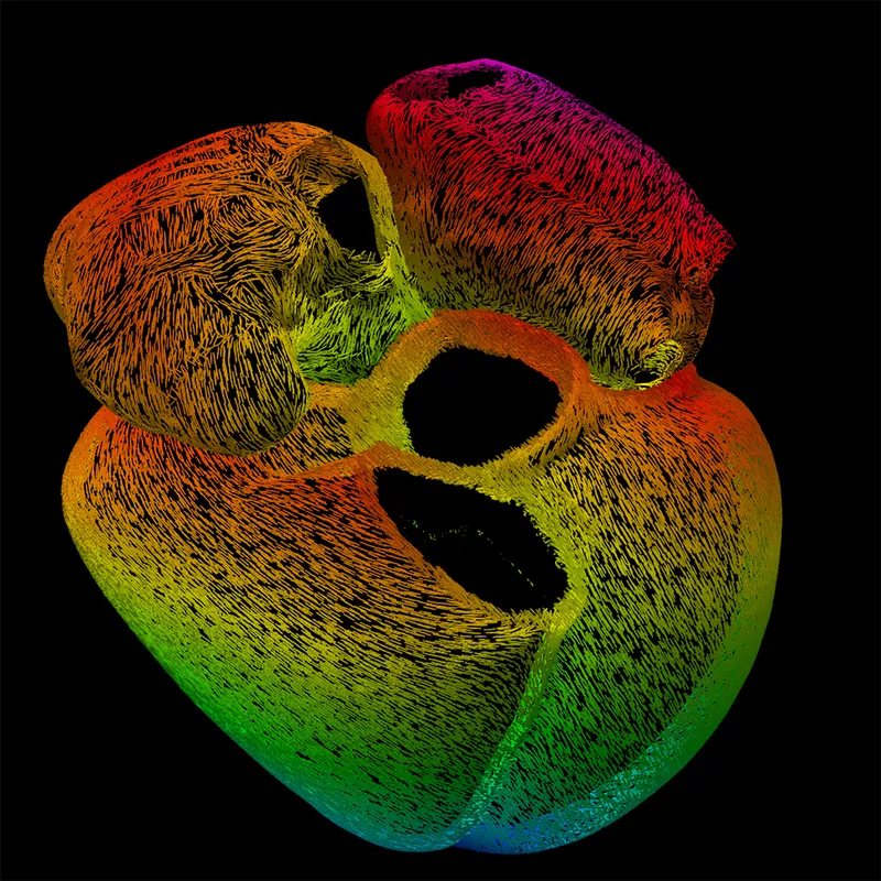 Multi-coloured heart