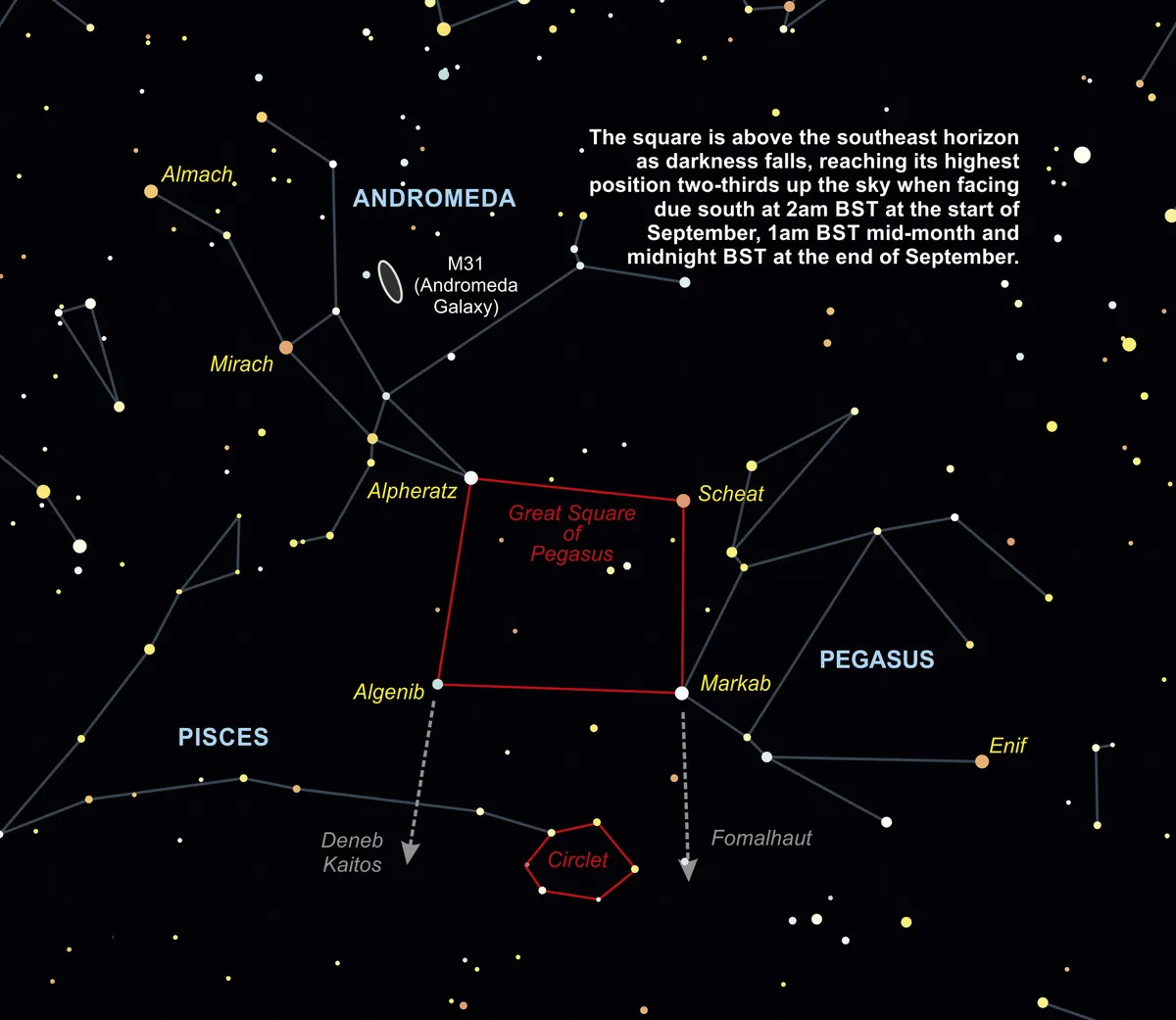 How to see the great square of Pegasus in the night sky.