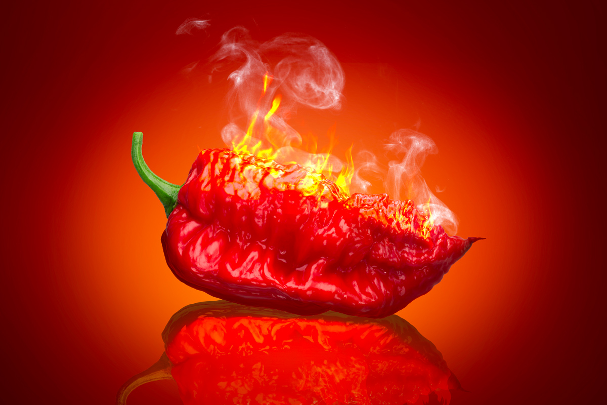 Top 8 hottest peppers in the world 2024 - BBC Science Focus Magazine