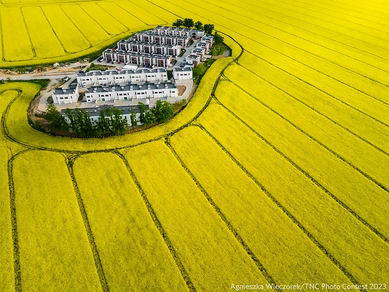 Aerial view of houses in the middle of a yellow field