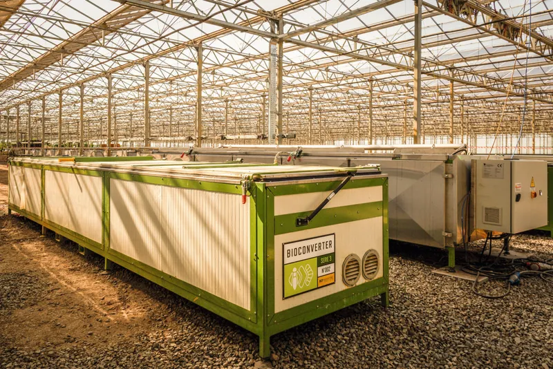 Rows of bioconverters in a big barn, resembling long white boxes with green edges.