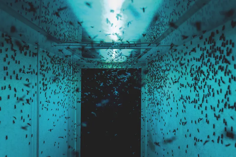 A blue room with a black door full of dark insects