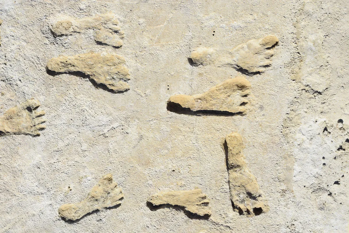 Several fossilised footprints in rock.
