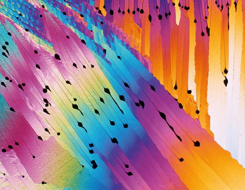 Caffeine crystals under a microscope.