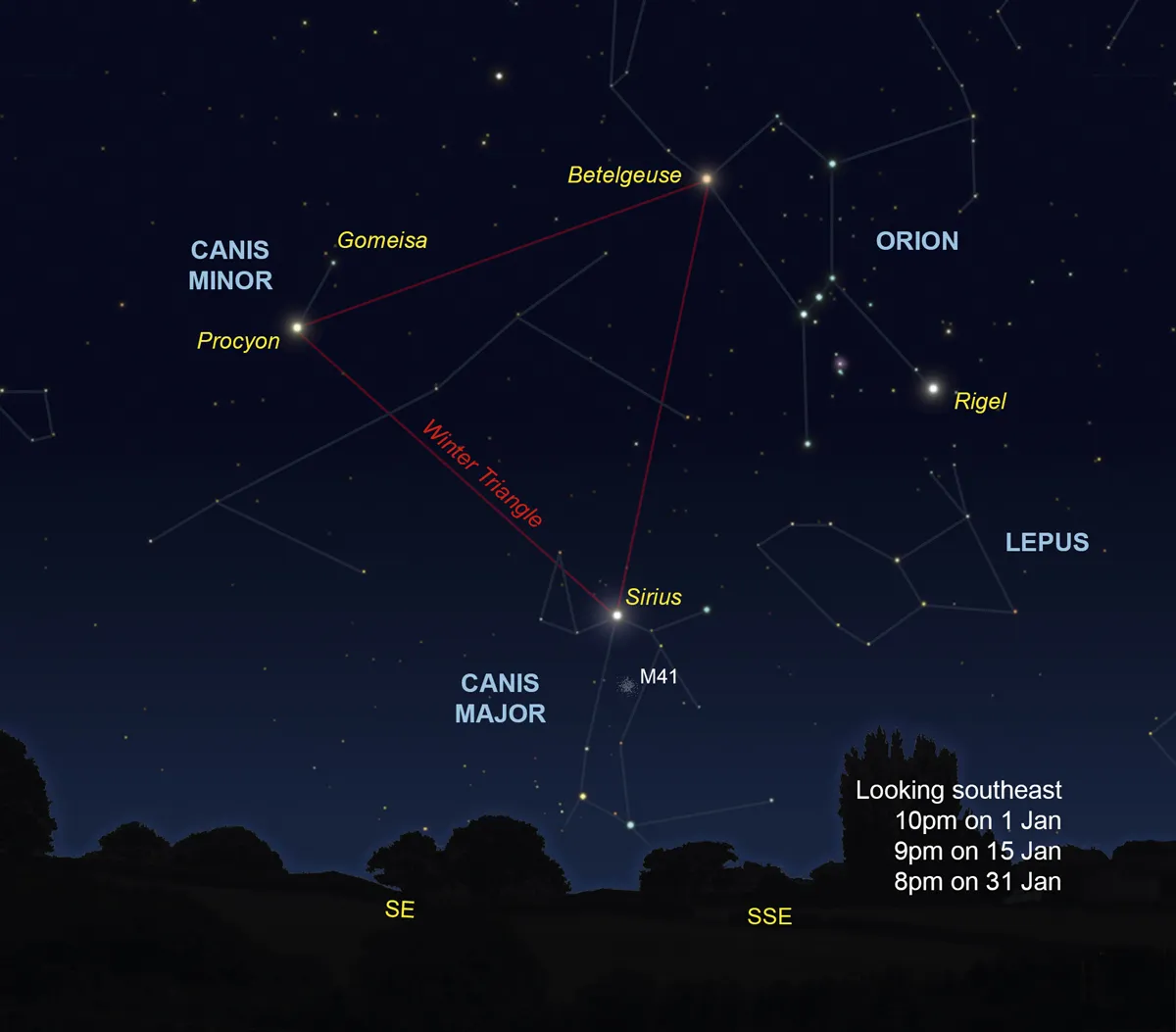 Illustration showing how to spot the great and little dog stars