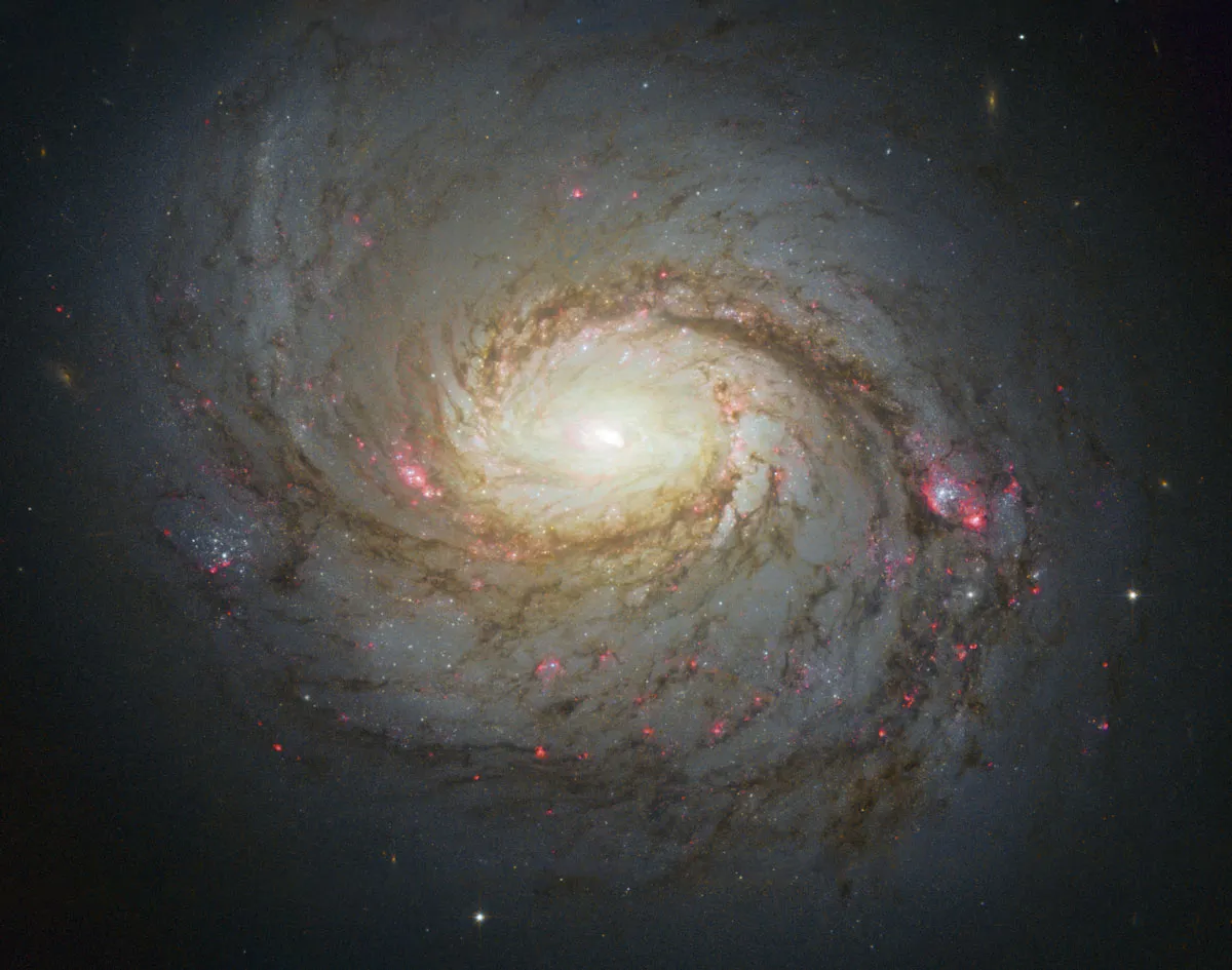 A bright pink, white and blue spiral galaxy on a dark background. 