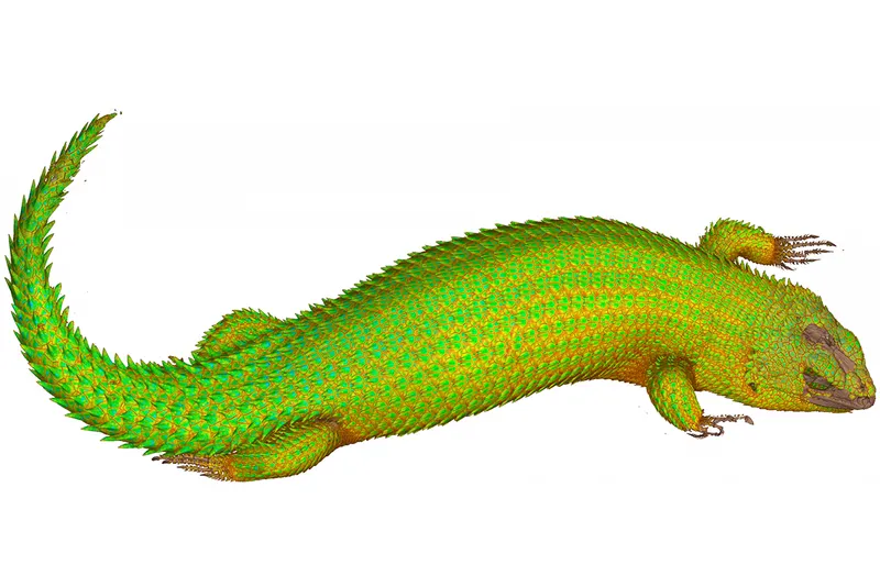 green lizard computer-generated image