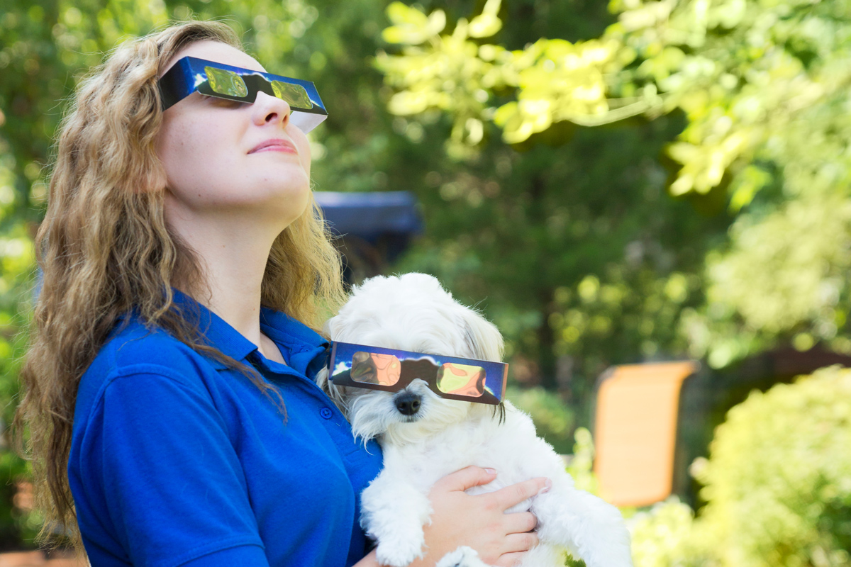 The strangest animal behaviour to expect during April's solar eclipse