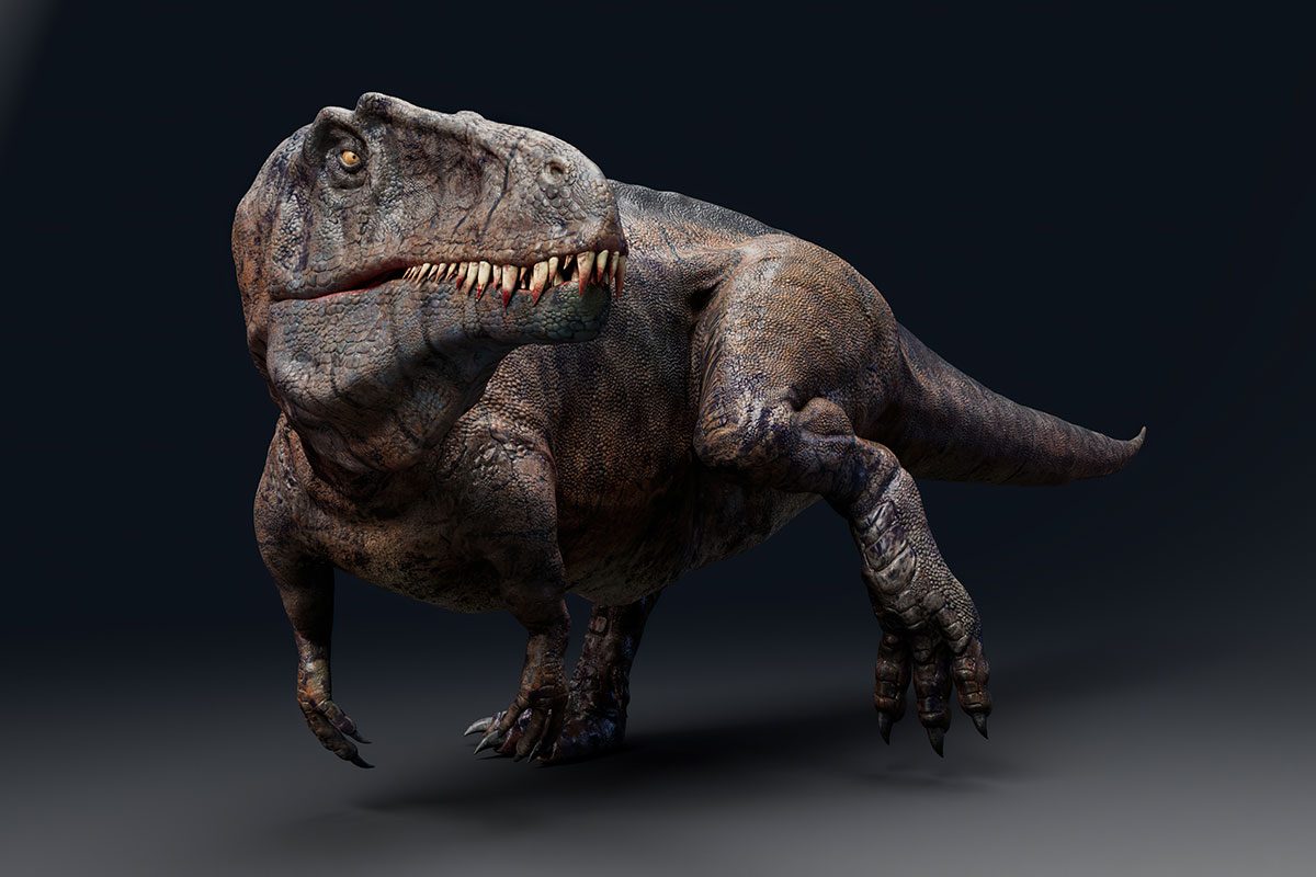 Prehistoric ‘dancefloor’ could reveal how dinosaurs flirted