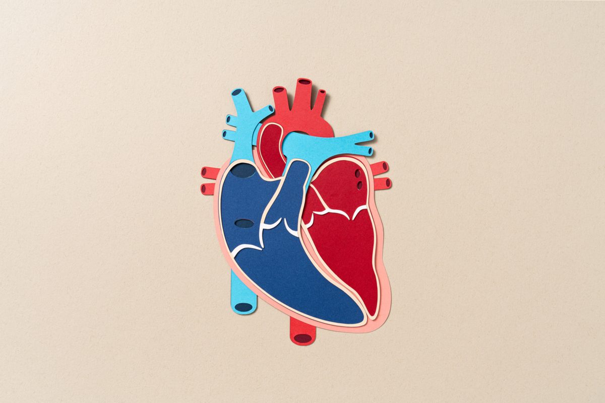 Here's what actually causes high blood pressure (and how to cut it)