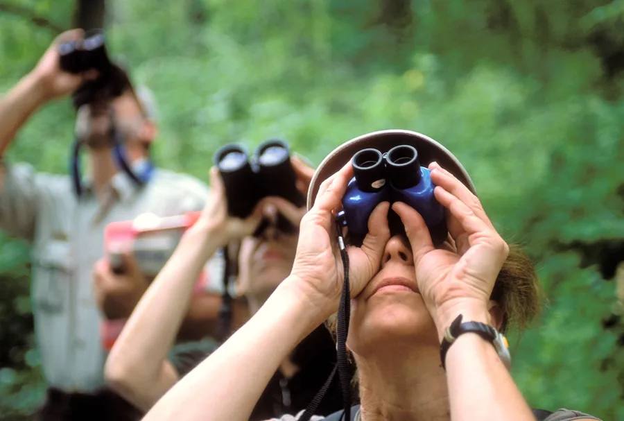 Birdwatching could help slow ageing, breakthrough study finds | BBC ...