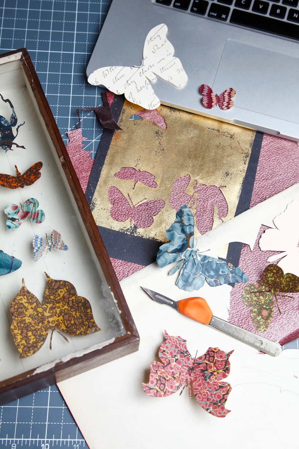 An array of Helen Wards cut paper butterflies in a vintage frame