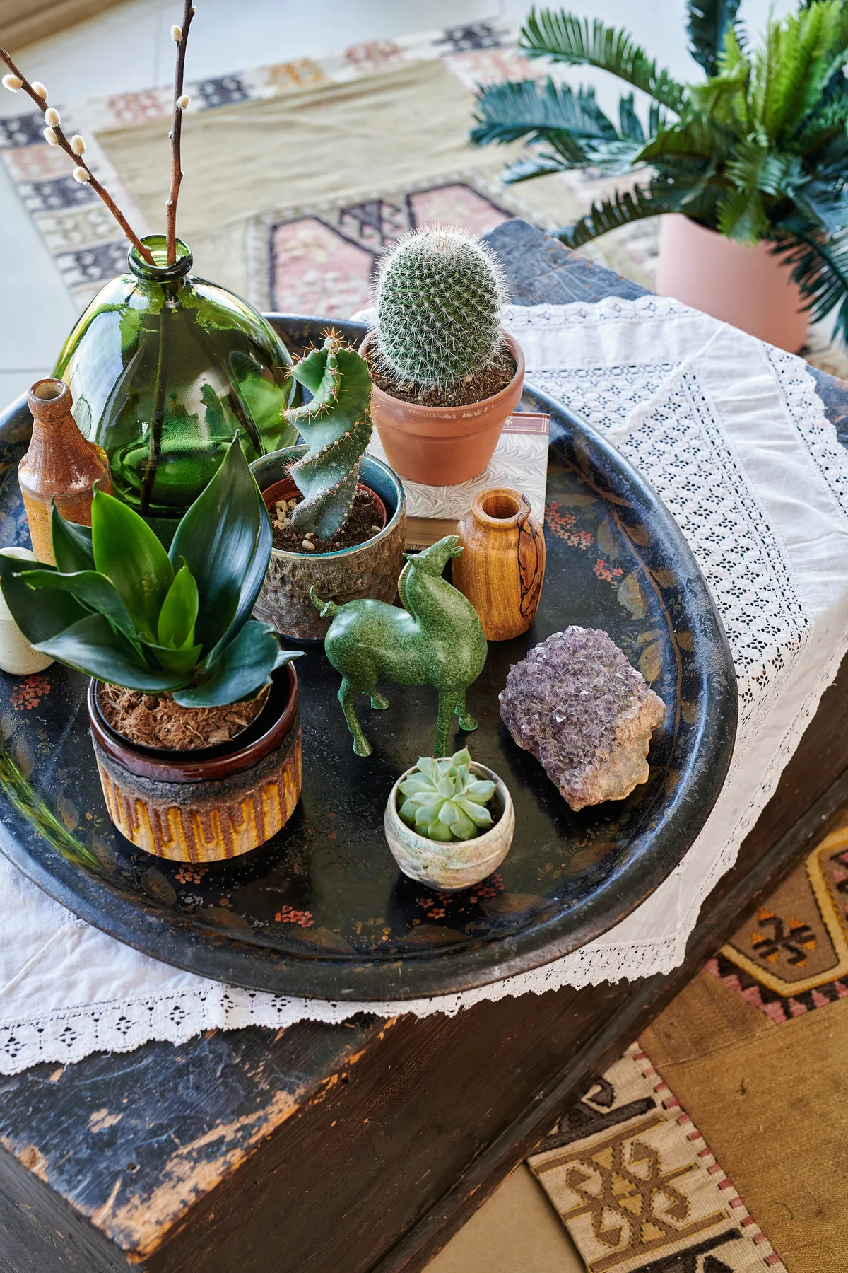A selection of succulents, cacti, crystals and curios on an antique wood tray.